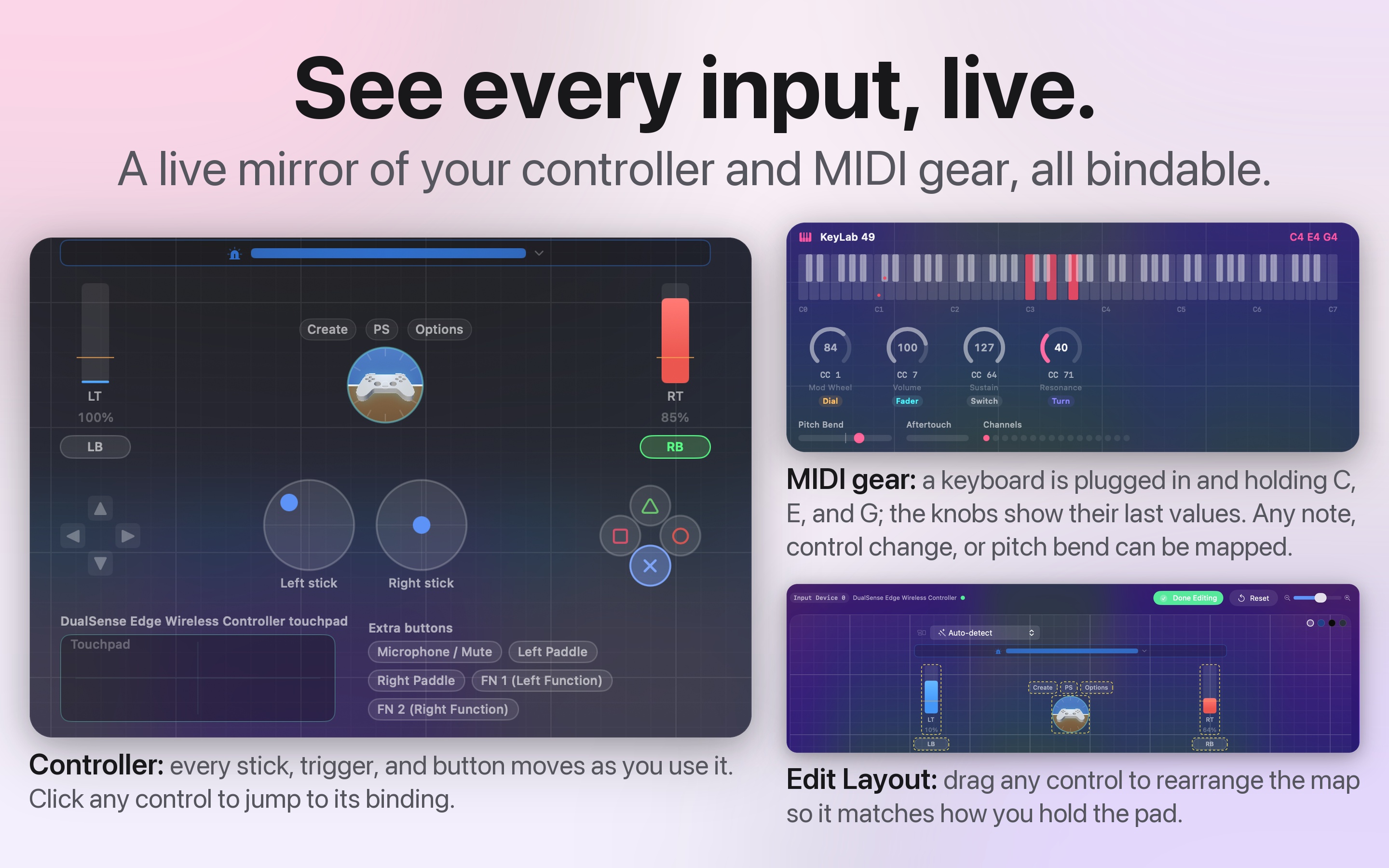 The InputConfig live visualizer showing a controller map with every input lighting up in real time.